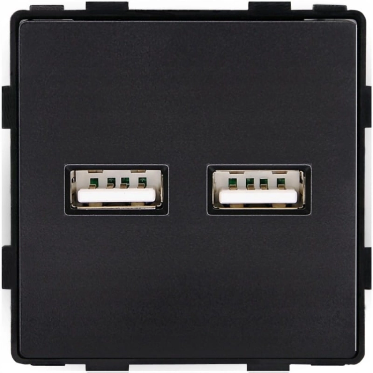 Modul Doppelte USB-Ladesteckdose Typ A+A 3.1A Schwarz Für Rahmen MIUUN