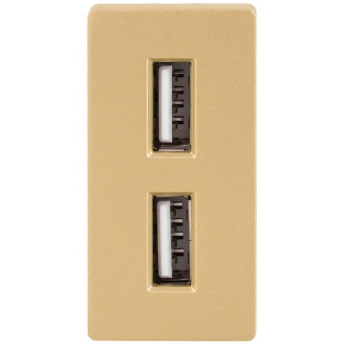 Modul Doppelte USB-Ladesteckdose Typ A+A 2.4A Gold Für Rahmen