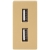 Modul Doppelte USB-Ladesteckdose Typ A+A 2.4A Gold Für Rahmen