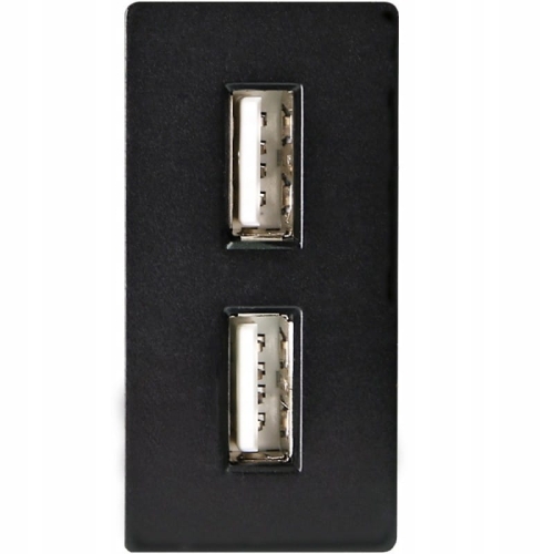 Modul Doppel-USB-Ladesteckdose 2.4A Schwarz Für Rahmen