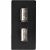 Modul Doppel-USB-Ladesteckdose 2.4A Schwarz Für Rahmen