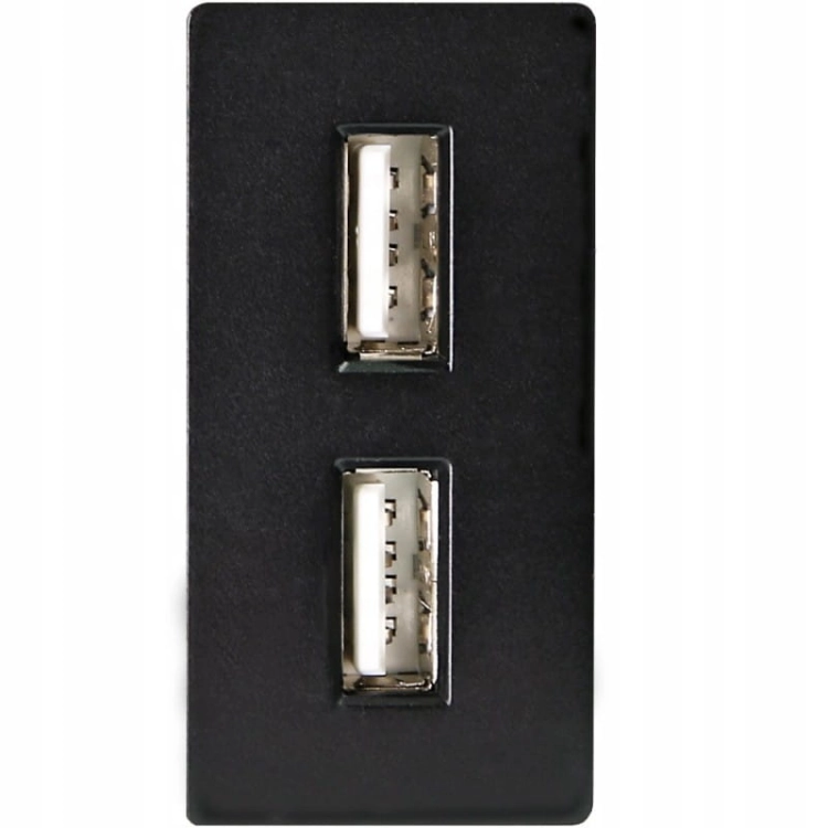 Modul Doppel-USB-Ladesteckdose 2.4A Schwarz Für Rahmen