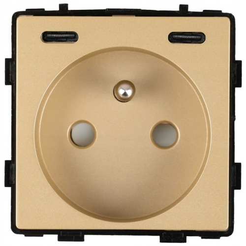 Modul Steckdose Mit Erdungsstift Gold + USB C+C Ladegerät 20W Für Rahmen