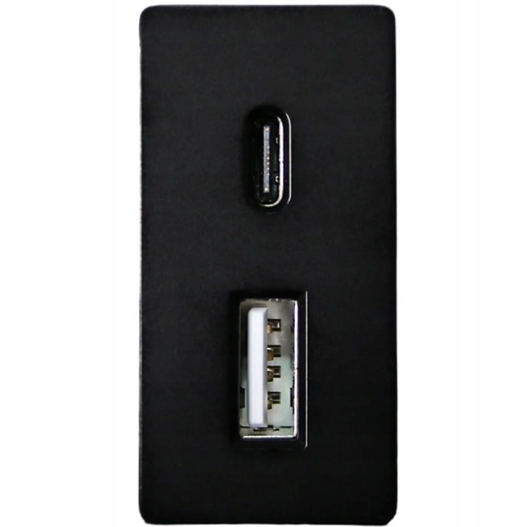 Modul Ladesteckdose Steckdose 2X USB A+C 20 WAT Für Rahmen