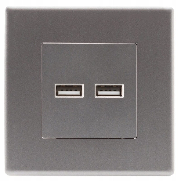 Steckdose Grau + Doppelte USB-Ladesteckdose 3.1A Typ A+A Set Mit PVC-Rahmen