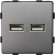Modul Doppel-USB-Ladesteckdose Typ A+A 3.1A Grau Für Rahmen