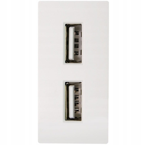 Modul Doppelsteckdose USB-Ladesteckdose 2.4A Weiß Für Rahmen