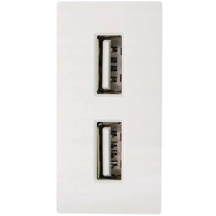 Modul Doppelsteckdose USB-Ladesteckdose 2.4A Weiß Für Rahmen