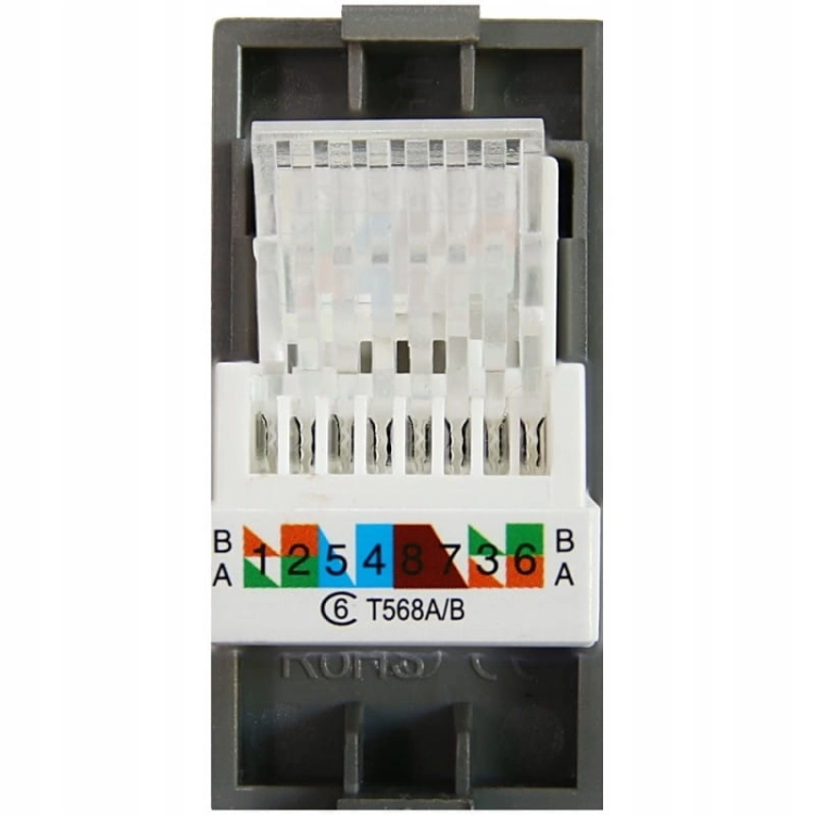 Modul Netzwerkdose RJ45 Kat 6 Grau Für Rahmen