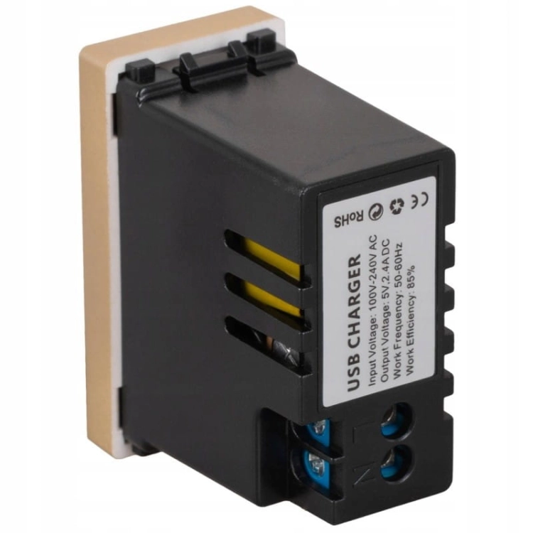 Modul Doppelte USB-Ladesteckdose Typ A+A 2.4A Gold Für Rahmen