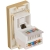 Modul Netzwerkdose RJ45 Kat 6 Gold Für Rahmen