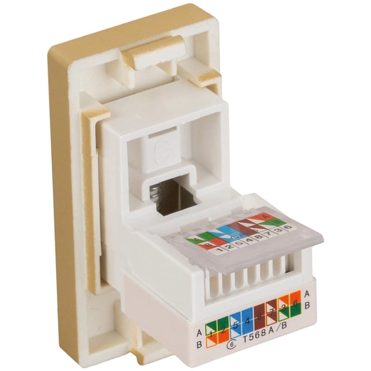 Modul Netzwerkdose RJ45 Kat 6 Gold Für Rahmen