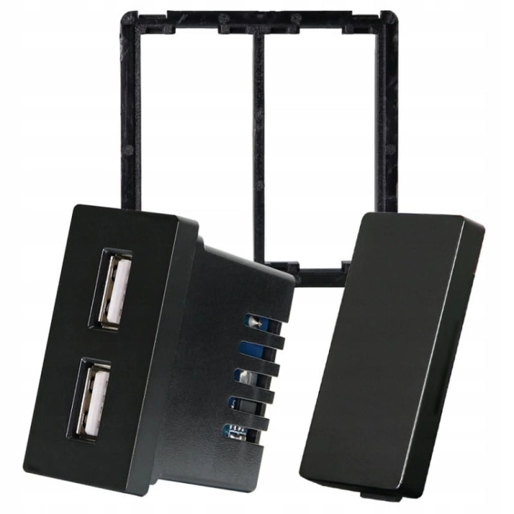 Modul Doppel-USB-Ladesteckdose 2.4A Schwarz Für Rahmen
