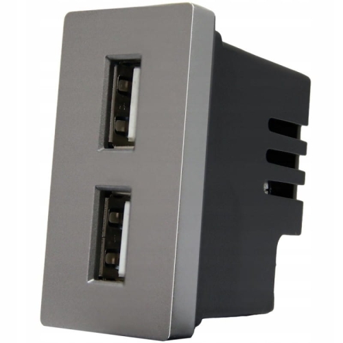 Modul Doppelte USB-Ladesteckdose Typ A+A 2.4A Grau Für Rahmen