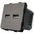 Steckdose Grau + Doppelte USB-Ladesteckdose 3.1A Typ A+A Set Mit PVC-Rahmen