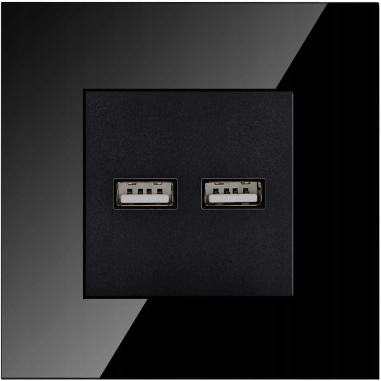Doppelte USB-Ladesteckdose Typ A+A 3.1A Schwarz MIUUN