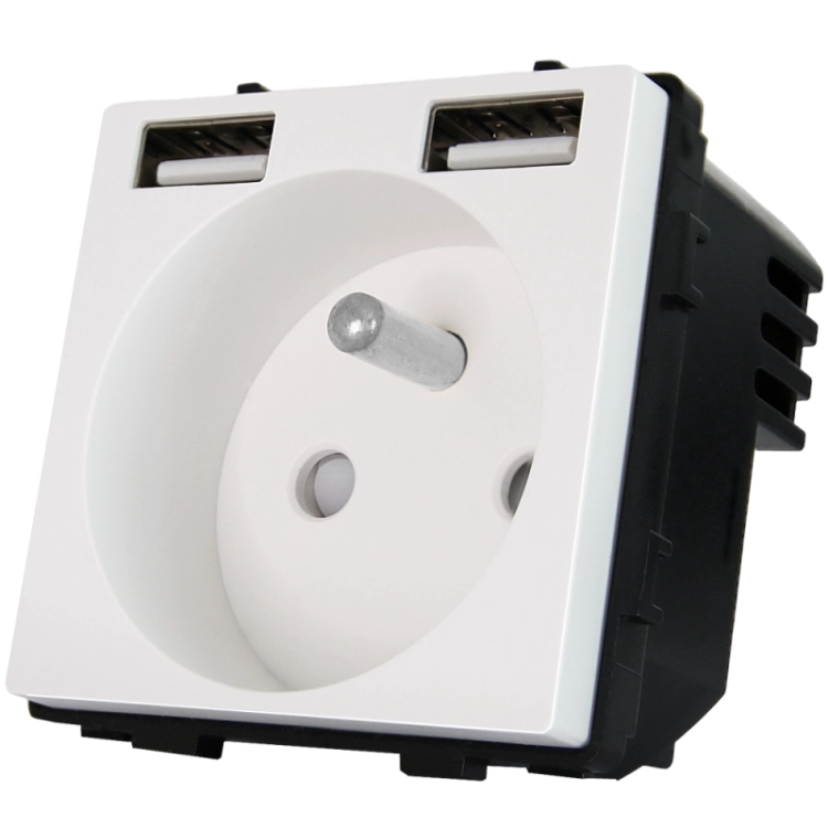Modul Steckdose Mit Erdungsstift Weiß + Doppel-USB-Ladesteckdose A+A 2.4A Für Rahmen
