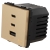 Modul Steckdose Dreifache USB-Ladesteckdose USB A+C+C 65W Gold Für Rahmen