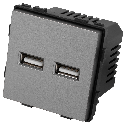Modul Doppel-USB-Ladesteckdose Typ A+A 3.1A Grau Für Rahmen
