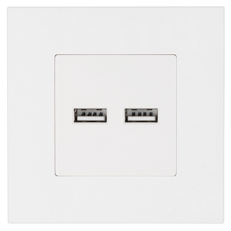 Doppelte USB-Ladesteckdose 3.1A Weiß Set Mit Kunststoffrahmen LINEA MIUUN