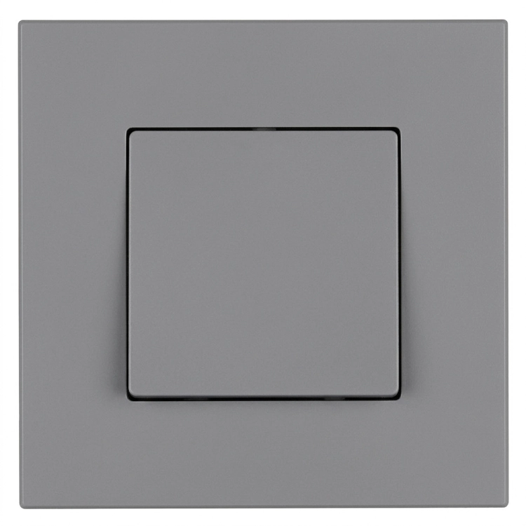 Taster Monostabil Einfach Glatt Kunststoff LINEA Grau MIUUN