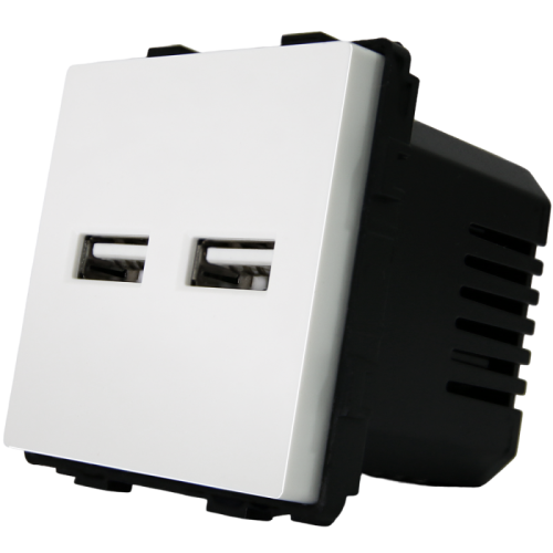 Modul Doppel-USB-Ladesteckdose Typ A+A 3.1A Weiß Für Rahmen MIUUN