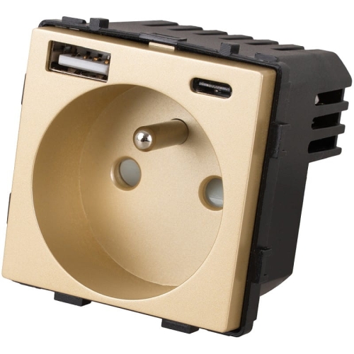 Modul Steckdose Mit Erdungsstift + Doppelte USB-Ladesteckdose Typ A+C 20W Gold Für Rahmen