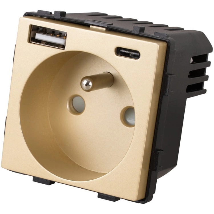 Modul Steckdose Mit Erdungsstift + Doppelte USB-Ladesteckdose Typ A+C 20W Gold Für Rahmen