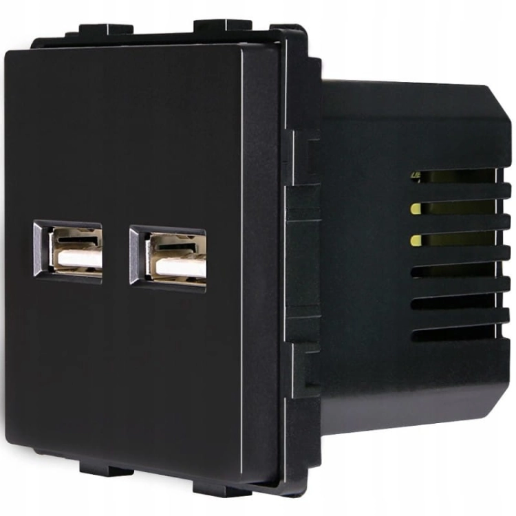 Modul Doppelte USB-Ladesteckdose Typ A+A 3.1A Schwarz Für Rahmen MIUUN