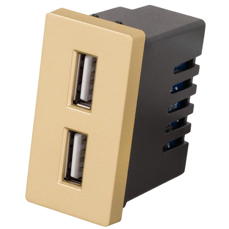 Modul Doppelte USB-Ladesteckdose Typ A+A 2.4A Gold Für Rahmen