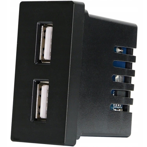 Modul Doppel-USB-Ladesteckdose 2.4A Schwarz Für Rahmen