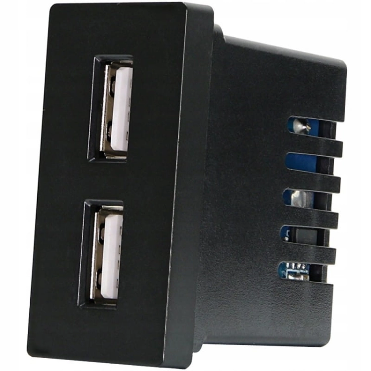 Modul Doppel-USB-Ladesteckdose 2.4A Schwarz Für Rahmen