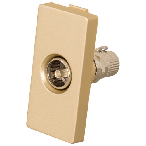 Modul TV-Antennendose Gold Für Rahmen