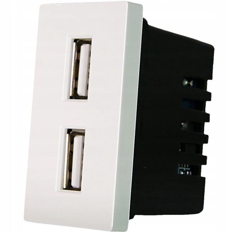 Modul Doppelsteckdose USB-Ladesteckdose 2.4A Weiß Für Rahmen