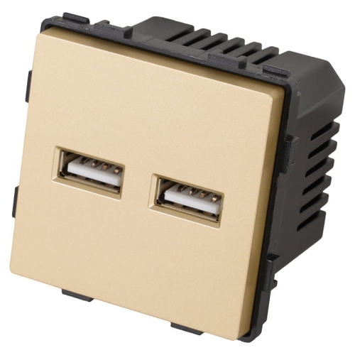Modul Doppelte USB-Ladesteckdose Typ A+A 3.1A Gold Für Rahmen