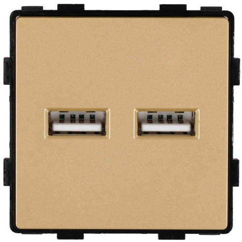 Modul Doppelte USB-Ladesteckdose Typ A+A 3.1A Gold Für Rahmen