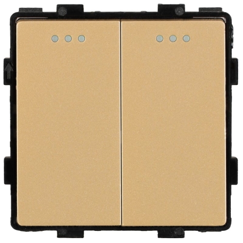 Modul Doppelter Monostabiler Taster Gold Für Rahmen