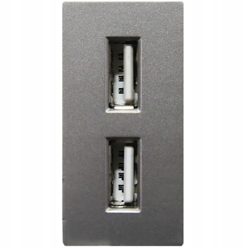 Modul Doppelte USB-Ladesteckdose Typ A+A 2.4A Grau Für Rahmen