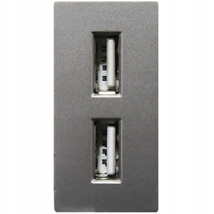 Modul Doppelte USB-Ladesteckdose Typ A+A 2.4A Grau Für Rahmen