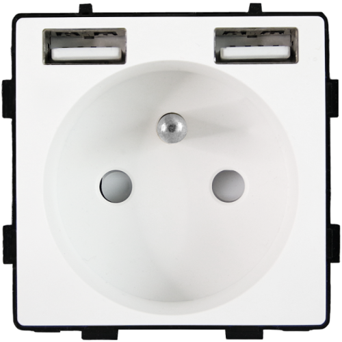 Modul Steckdose Mit Erdungsstift Weiß + Doppel-USB-Ladesteckdose A+A 2.4A Für Rahmen