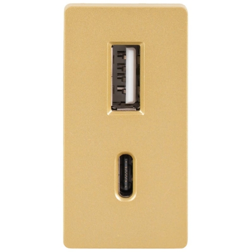 Modul Schnelle Doppelte USB-Ladesteckdose Typ A+C 20 WAT Gold Für Rahmen