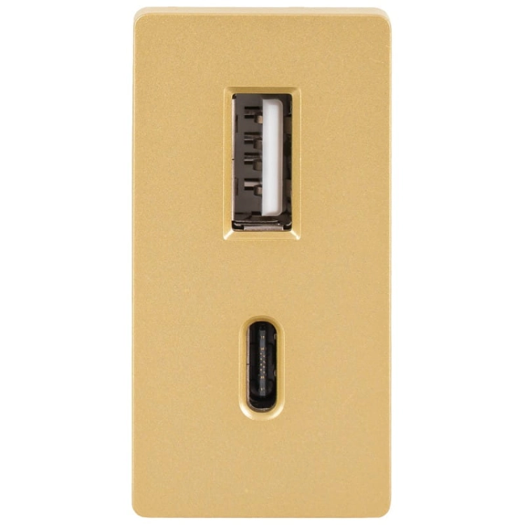 Modul Schnelle Doppelte USB-Ladesteckdose Typ A+C 20 WAT Gold Für Rahmen