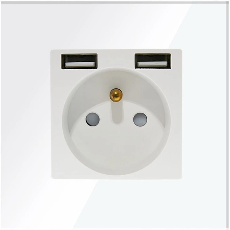 Steckdose Mit Erdungsstift Weiß Glas + Doppel-USB-Ladesteckdose A+A 2.4A