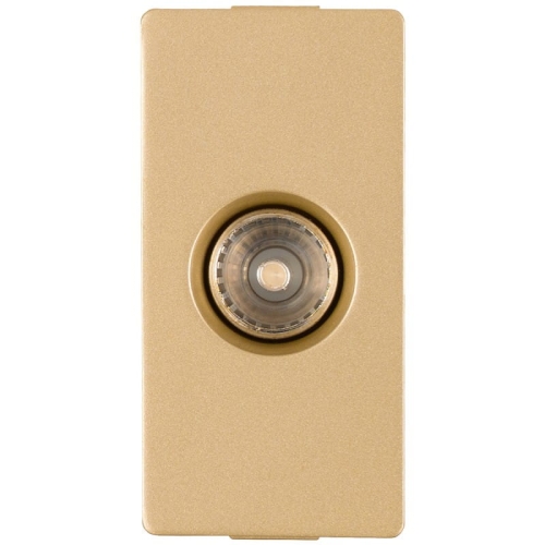 Modul TV-Antennendose Gold Für Rahmen