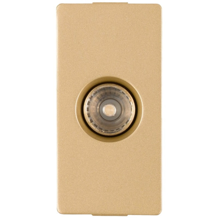Modul TV-Antennendose Gold Für Rahmen